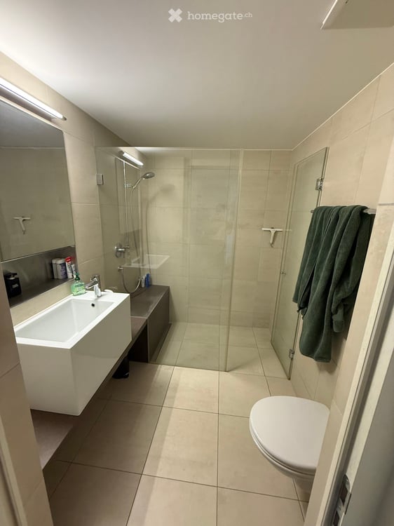 Charming 2.5-Room Terrace Apartment in Zürich Seefeld 3