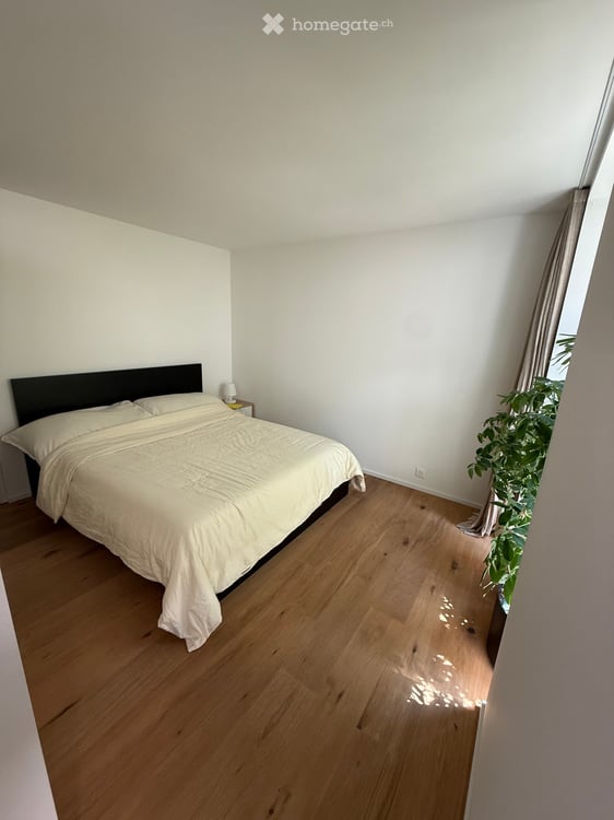 Charming 2.5-Room Terrace Apartment in Zürich Seefeld 4