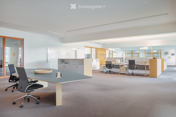 Büroflächein Birsfelden – gut erschlossen, sofort verfügbar, gerne auch erstklassig möbliert 9