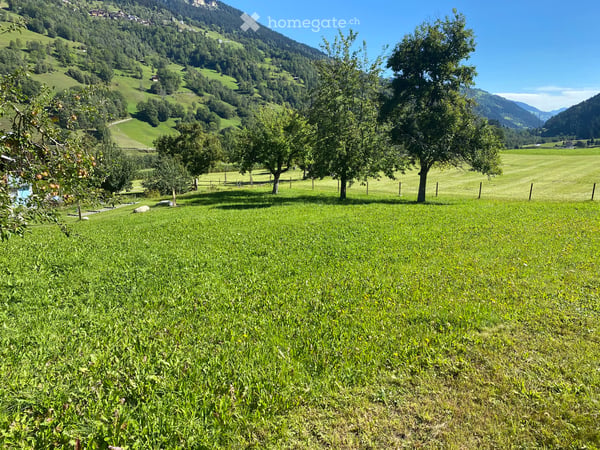Charmantes 8-Zimmer-Einfamilienhaus in Zignau, Graubünden 3