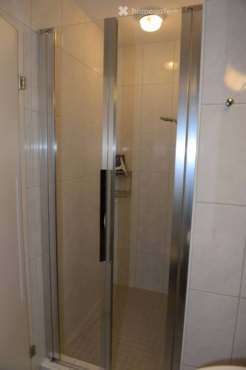 Grosszügige 5.5-Zimmer-Wohnung mit Balkon und schöner Aussicht in Dübendorf 22