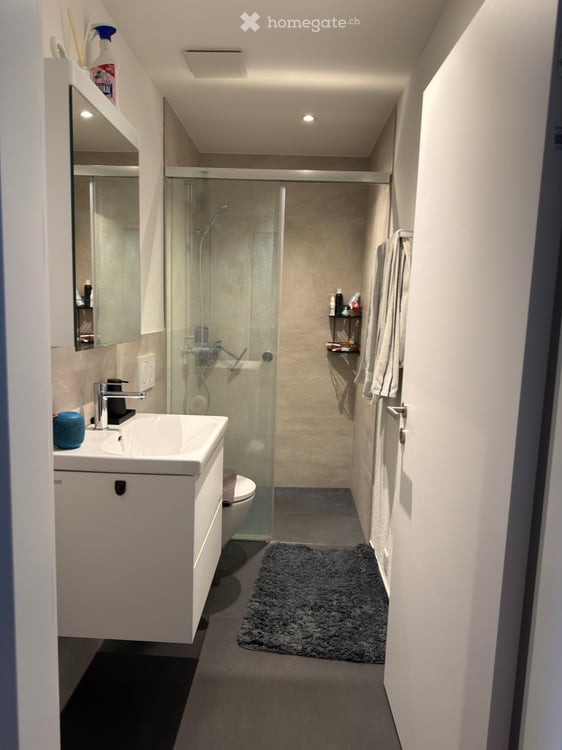 Moderne 3.5-Zimmer-Neubauwohnung inkl. Doppelparkplatz in Nürensdorf 8