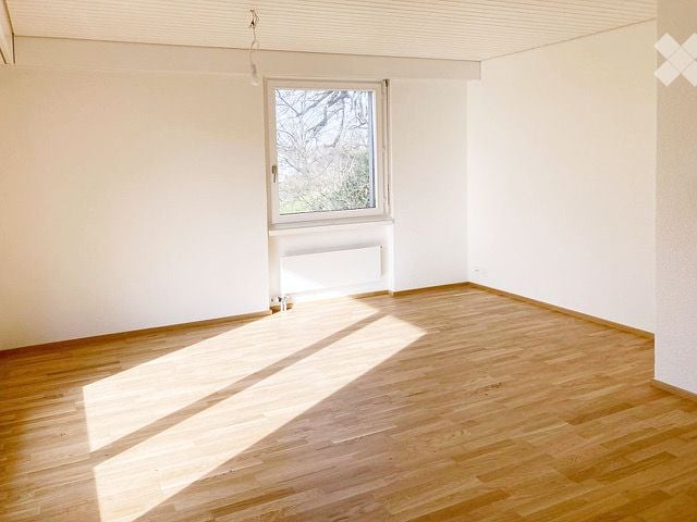 Empty room with wooden flooring and white walls, featuring a single window with natural light and a radiator below it.