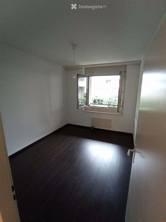 Appartement duplex lumineux de 4 pièces avec jardin à Thônex 3