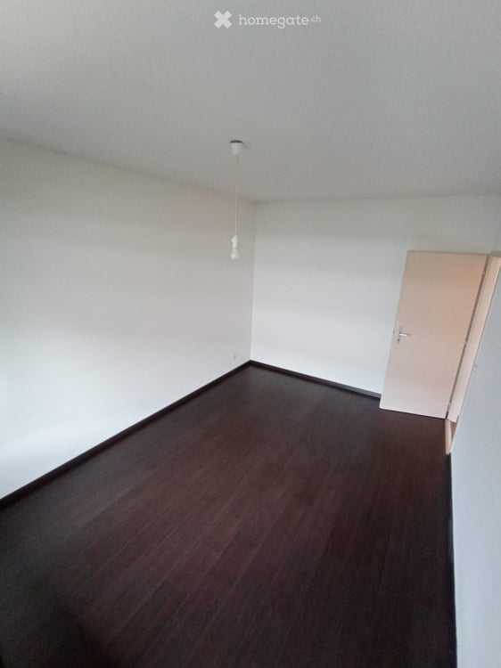 Appartement duplex lumineux de 4 pièces avec jardin à Thônex 5