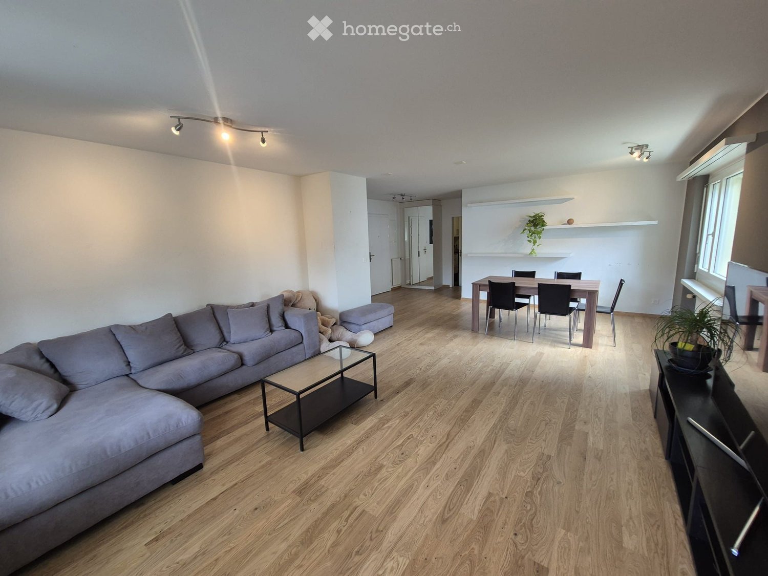 Open-plan living and dining area with light wooden flooring, a grey sectional sofa, a glass coffee table, a dining table with chairs, and a small plant on a shelf.