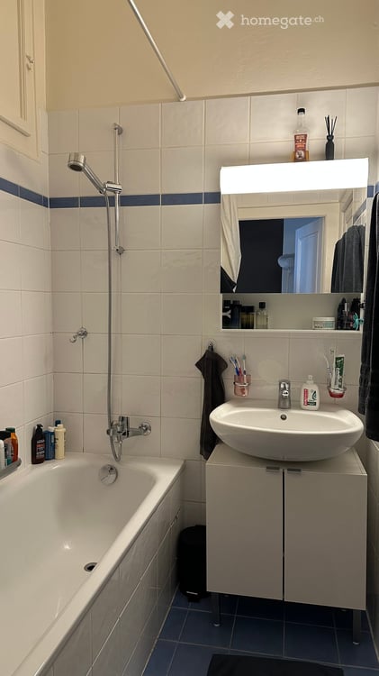 Charmant appartement de 4.5 pièces avec balcon à Genève – Plainpalais 5