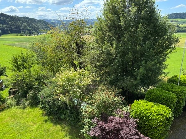 Charmante 5.5-Zimmer-Maisonette-Wohnung in idyllischer Landschaft – Grünenmatt 6