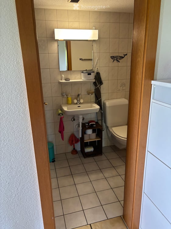 Charmante 5.5-Zimmer-Maisonette-Wohnung in idyllischer Landschaft – Grünenmatt 20