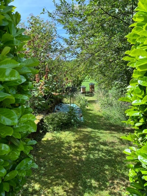 Charmante 5.5-Zimmer-Maisonette-Wohnung in idyllischer Landschaft – Grünenmatt 11