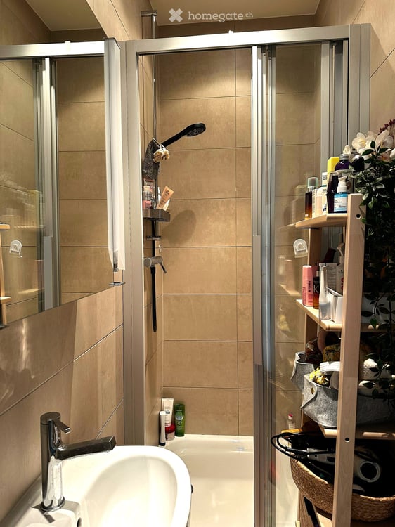 Tres bel appartement 4.5 pièces à Genève – Avenue de Champel  Reprise de bail pour un an 10