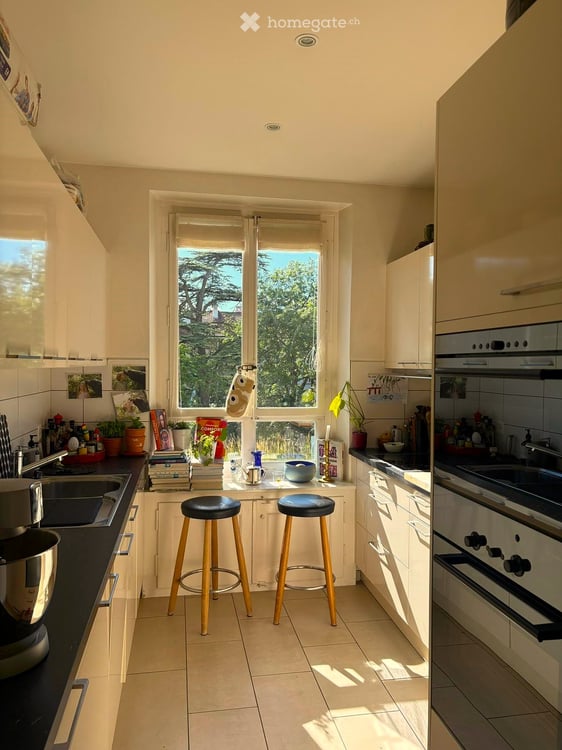 Tres bel appartement 4.5 pièces à Genève – Avenue de Champel  Reprise de bail pour un an 7