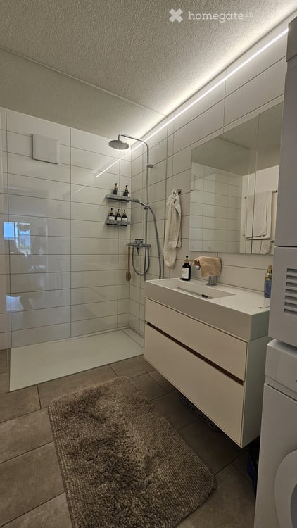 Exklusives 5.5-Zimmer-Terrassenhaus mit 60 m² Sonnenterrasse an bester Wohnlage in Zug 13