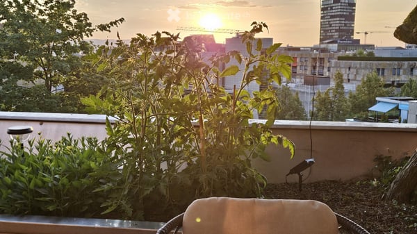 Exklusives 5.5-Zimmer-Terrassenhaus mit 60 m² Sonnenterrasse an bester Wohnlage in Zug 17