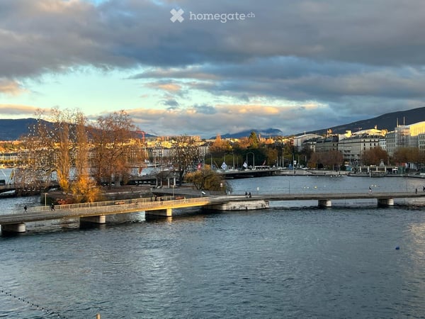 Bureau à Genève 3