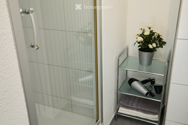 Möbliertes Businessappartment wochen- oder monatsweise zu vermieten 9