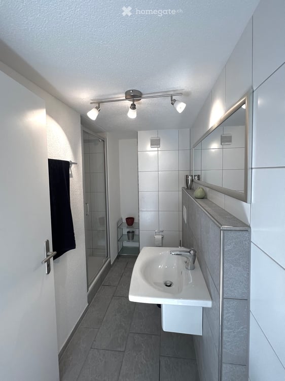 Möbliertes Businessappartment wochen- oder monatsweise zu vermieten 7