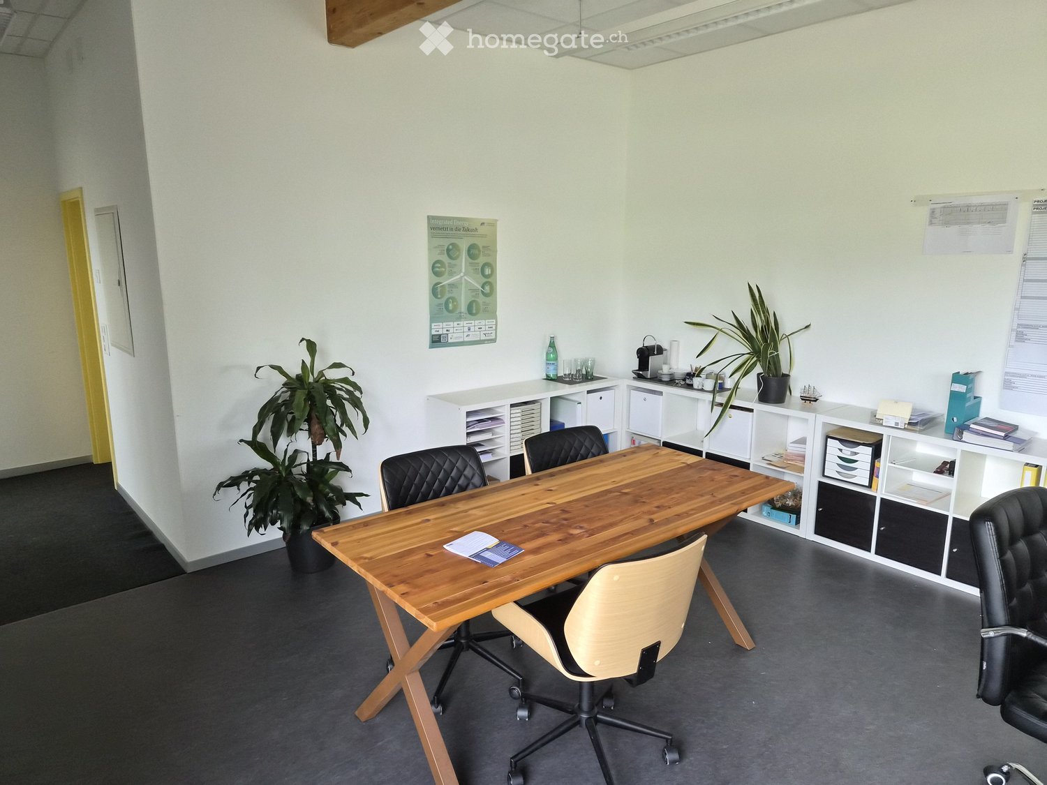 Office space with a large wooden table, four chairs, white shelving units, potted plants, and various office supplies.
