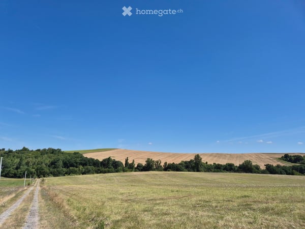Bauernhaus mit Baubewilligung, viel Land (24ha) - ideal für Tourismus / Tierhaltung 3