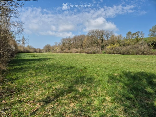Bauernhaus mit Baubewilligung, viel Land (24ha) - ideal für Tourismus / Tierhaltung 7