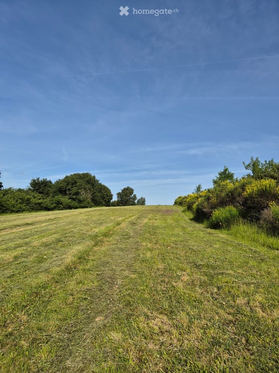 Bauernhaus mit viel Land (24ha) - ideal für Tourismus / Tierhaltung 12