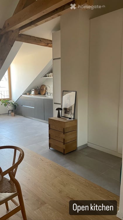 Charming 4-room attic – Jet d'Eau view – Brand new 2021 construction 3
