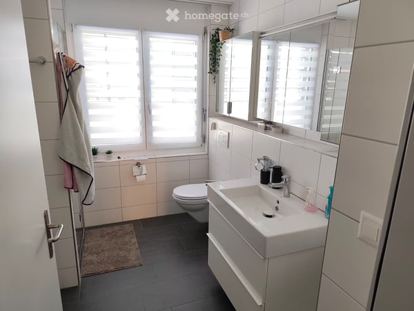 Geräumige 4.5-Zimmer-Wohnung, zwei Tiefgaragen, grosser Garten,  in Oberriet SG 8