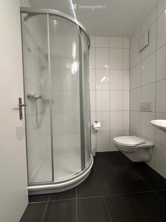 helle und ruhig gelegene 4.5 Zimmer Wohnung mit Balkon und Hobbyraum 10