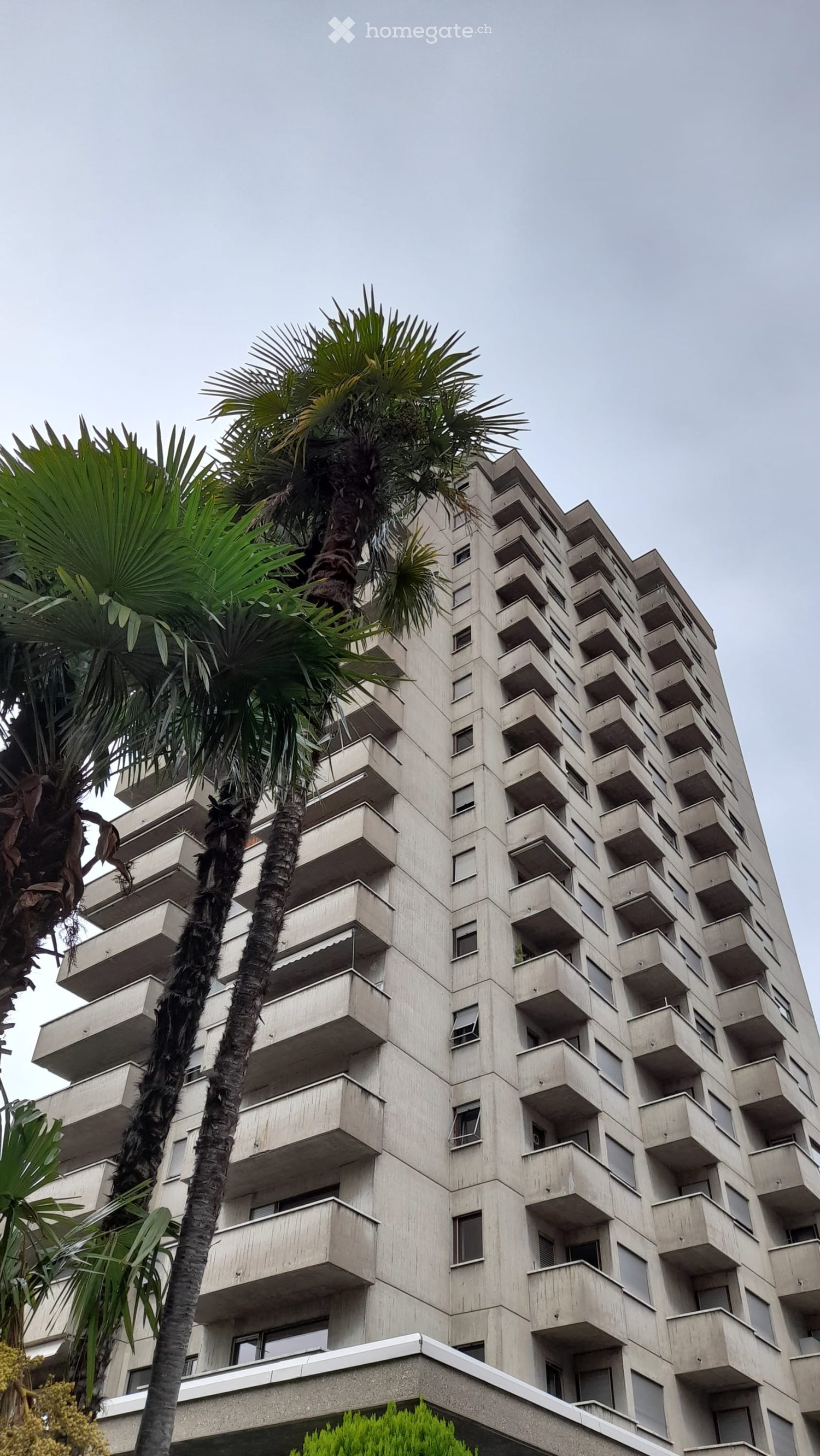 A tall, modern concrete apartment building with multiple balconies and large windows, surrounded by palm trees.
