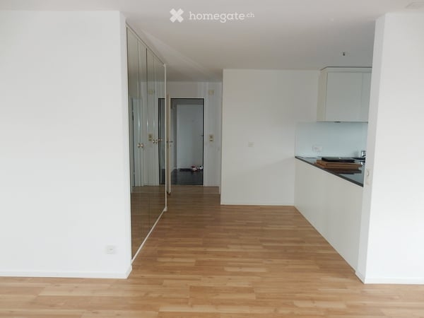 Attikawohnung-Wohnung mit Blick auf den Zürichsee! 3