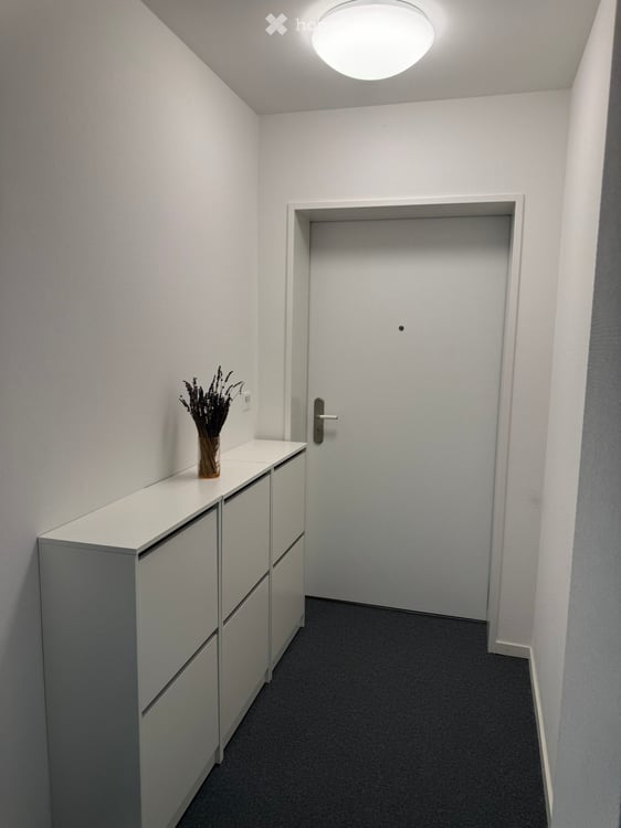 3.5-Zimmer-Wohnung im Gartengeschoss am Zürichberg | 3.5-Room Apartment on Garden Level 15
