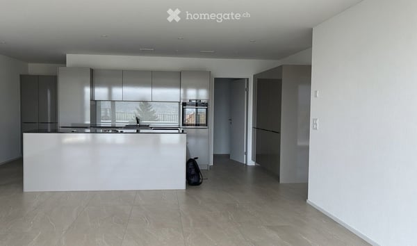 Traumhafte 4.5-Zimmer-Wohnung mit Panoramablick auf Alpen und Hallwilersee 8