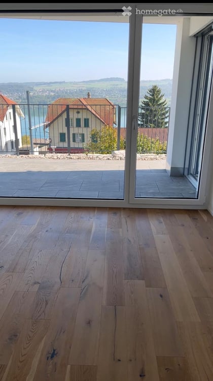 Traumhafte 4.5-Zimmer-Wohnung mit Panoramablick auf Alpen und Hallwilersee 5