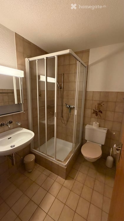 Charmantes Studio-Apartment in Sörenberg – Erstbezug nach Komplettsanierung 4