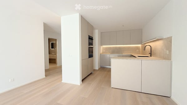 Moderne 2.5-Zimmer-Wohnung mit traumhafter Aussicht in Brunnen 2