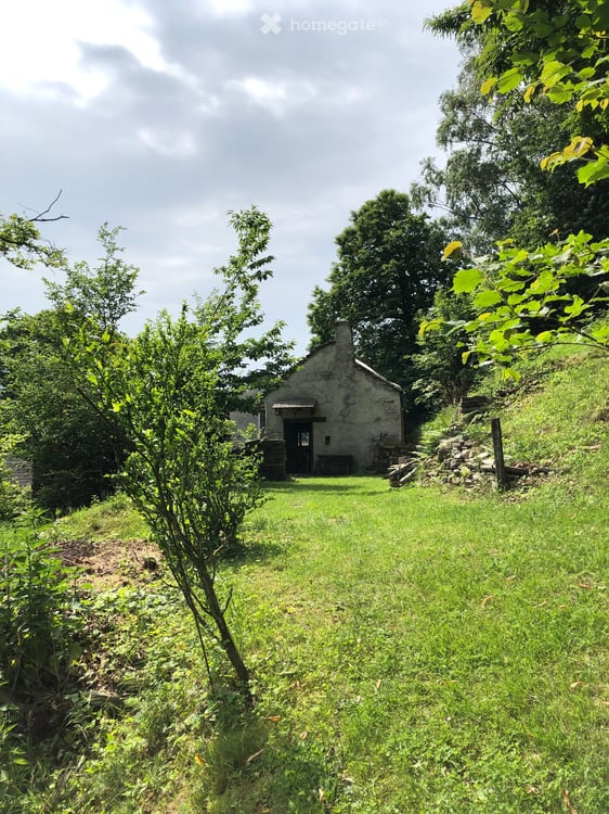 Rustikales Steinhaus in Gorduno – Charmantes Tessiner Rustico zu verkaufen 1