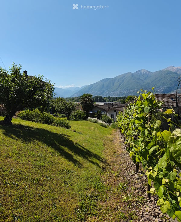 Terreno in zona tranquilla, ideale per progetto residenziale / Grundstück ideal für Wohnbauprojekt 5
