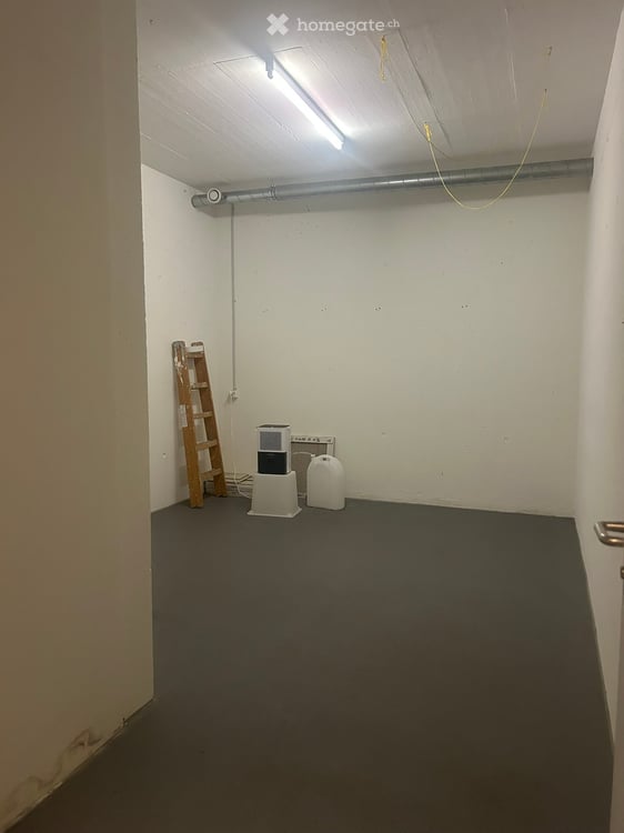 Edle 5.5-Zimmer-Terrassenwohnung in Pfeffingen 12