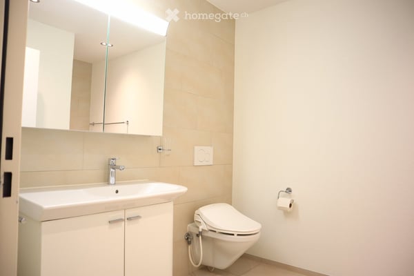 Edle 5.5-Zimmer-Terrassenwohnung in Pfeffingen 10