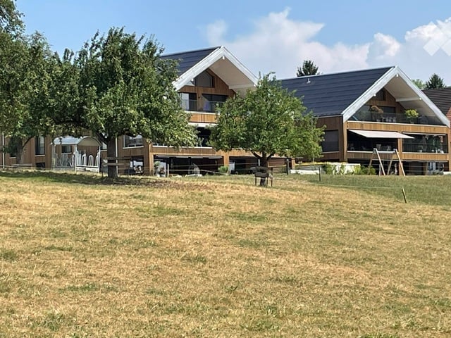 Modern two-story house with a dark roof and light-colored walls, surrounded by a grassy field and trees.