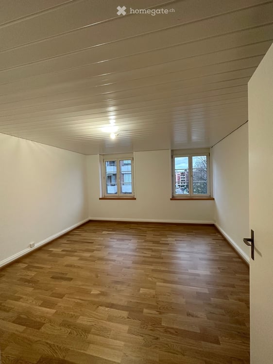 Charmante Altbauwohnung im Gundeldinger- Quartier 3
