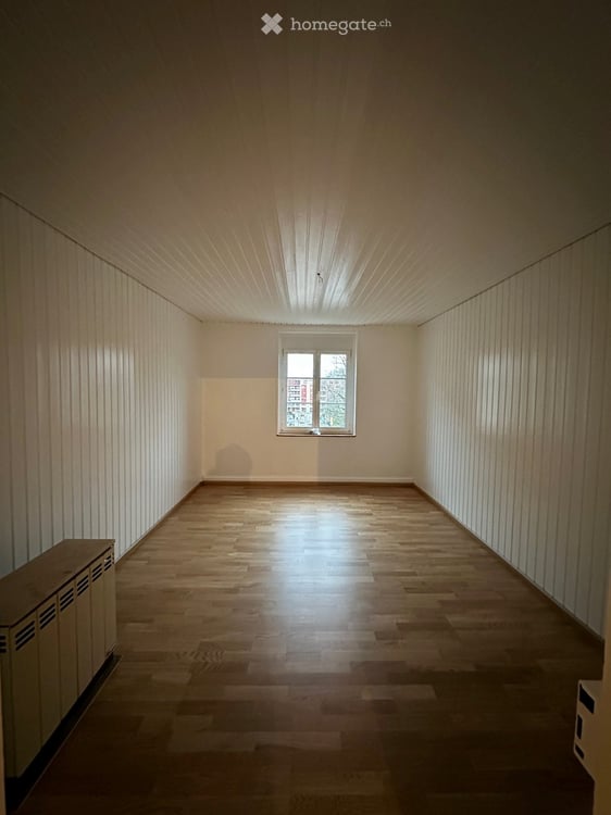 Charmante Altbauwohnung im Gundeldinger- Quartier 4