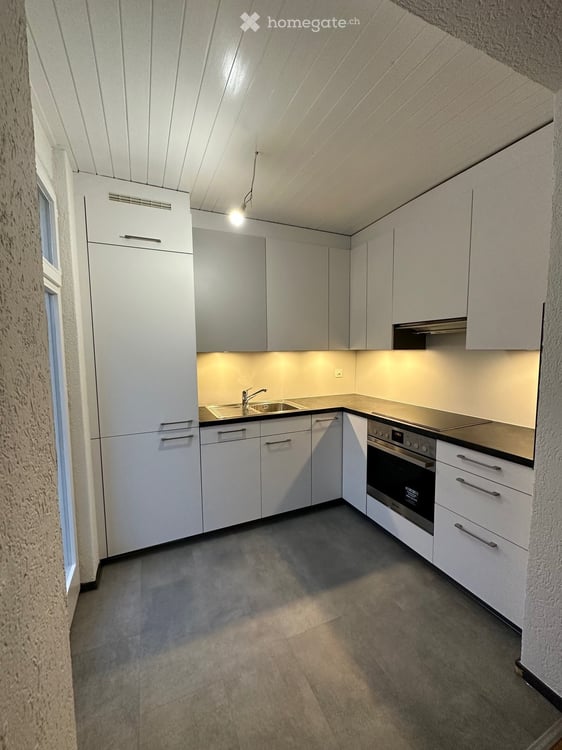 Charmante Altbauwohnung im Gundeldinger- Quartier 2