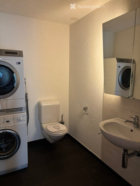 Helle und grosszügige 5.5-Zimmer-Wohnung mit Galerie zu vermieten 8
