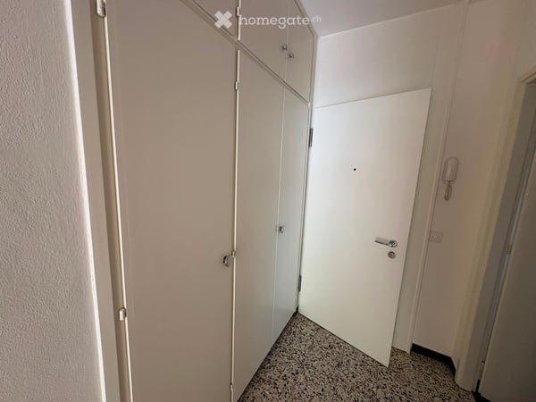 3.5 Zimmerwohnung in Vira nähe See zu vermieten 4