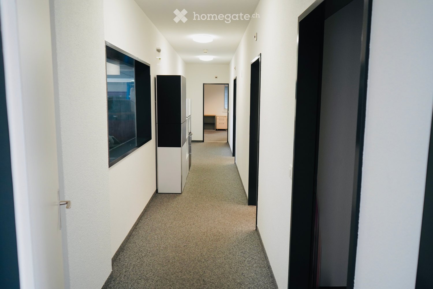 Clean, modern hallway with white walls, carpeted floor, and several doors leading to rooms. A large window on the left side provides natural light, and a small cabinet is visible near the window.