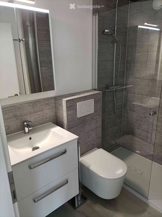 Komplett renovierte und möblierte 1.5-Zimmer-Wohnung mit Balkon und Parkplatz in St. Margrethen SG 3