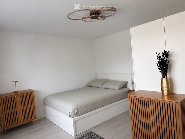 Komplett renovierte und möblierte 1.5-Zimmer-Wohnung mit Balkon und Parkplatz in St. Margrethen SG 1