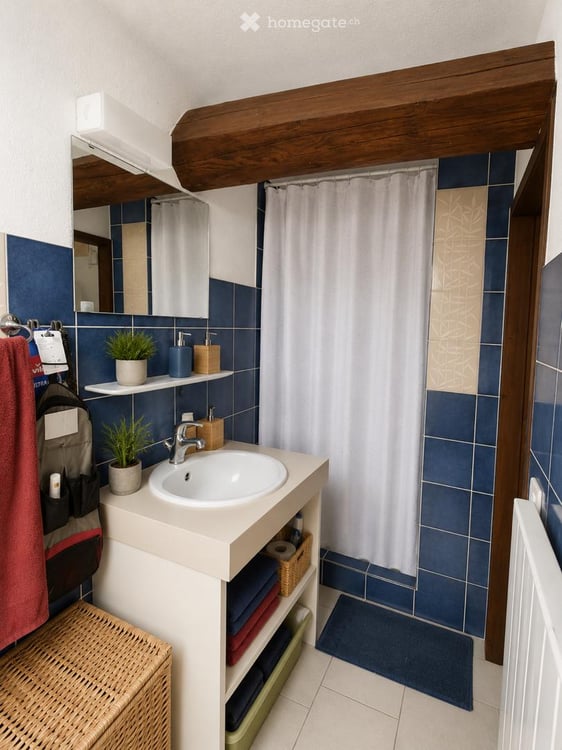 Gemütliche 1.5-Zimmer-Maisonettewohnung in Nunningen 5