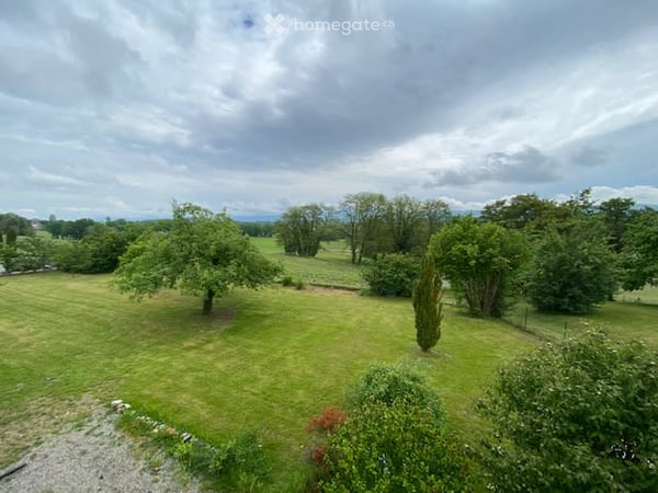 Charmant appartement de 5 pièces avec jardin 2